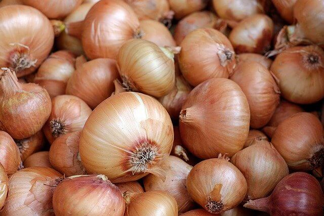 Holland Onion